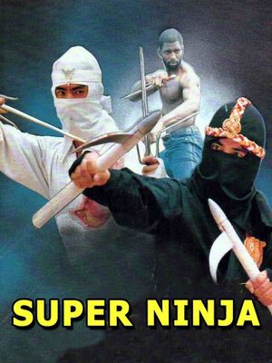 The Super Ninja's poster
