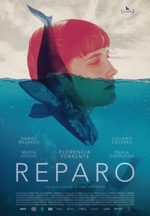 Reparo's poster