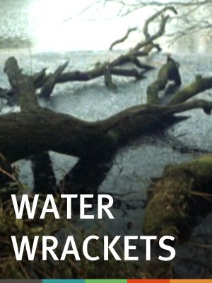Water Wrackets's poster