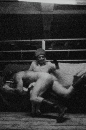 Dark, Scenes from the Barn's poster