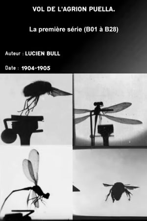 Series 1 (insect flights)'s poster
