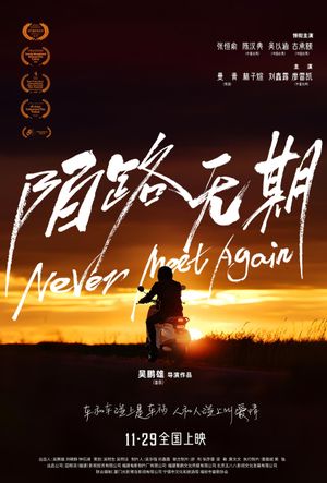 Never Meet Again's poster