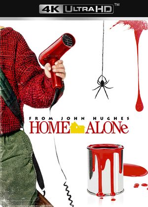 Home Alone's poster