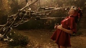 The Last Little Red Riding Hood's poster