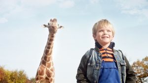 My Giraffe's poster