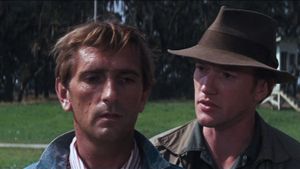 Cool Hand Luke's poster
