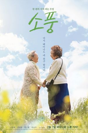 Picnic's poster