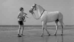 The Boy Who Loved Horses's poster