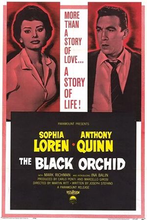 The Black Orchid's poster