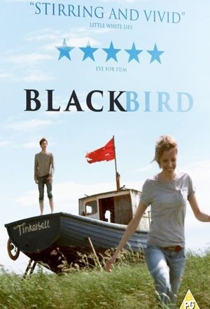 Blackbird's poster