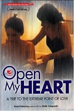 Open My Heart's poster