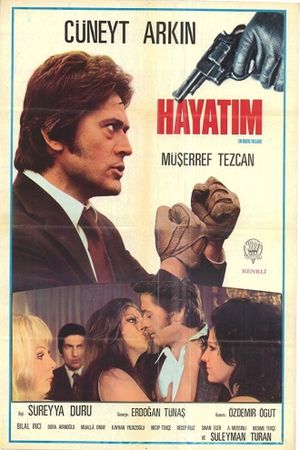 Hayatimizin En Güzel Yillari's poster