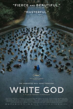 White God's poster