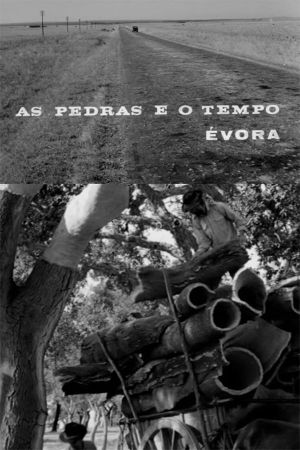 As Pedras e o Tempo's poster