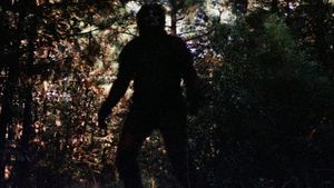 Creature from Black Lake's poster