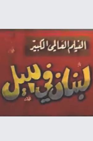 Lebanon at night's poster