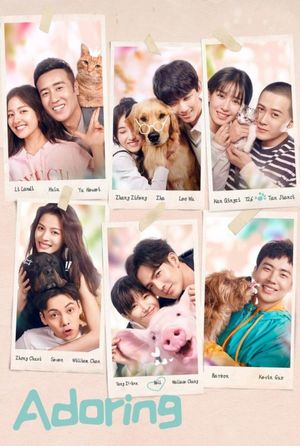 Adoring's poster