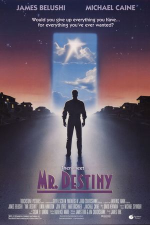 Mr. Destiny's poster