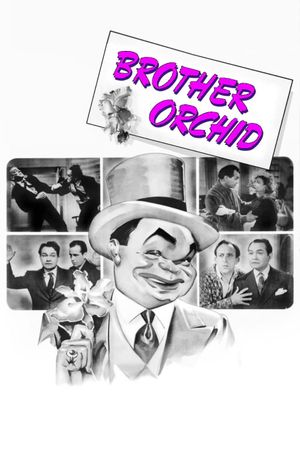 Brother Orchid's poster