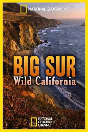Big Sur-Wild California's poster