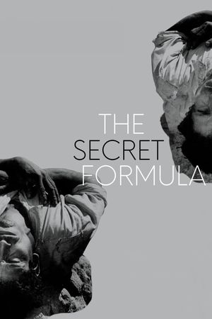 The Secret Formula's poster