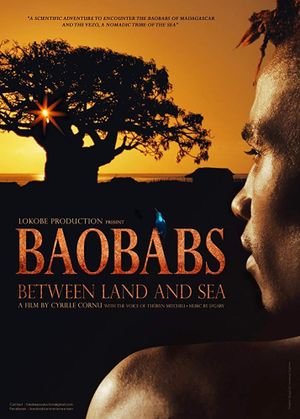 Baobabs between Land and Sea's poster