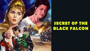 The Secret of the Black Falcon's poster