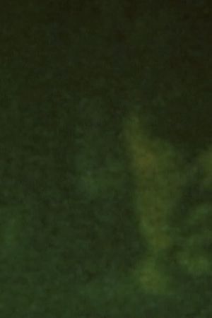 Song 29's poster