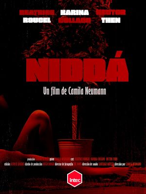 Niddá's poster