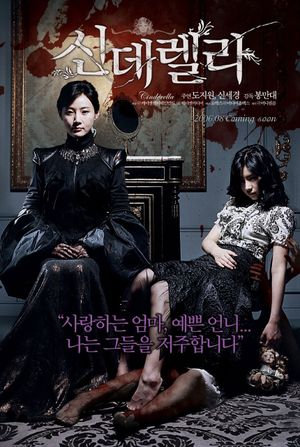 Cinderella's poster