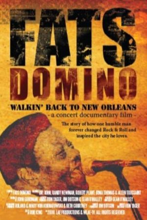 Fats Domino: Walkin' Back to New Orleans's poster