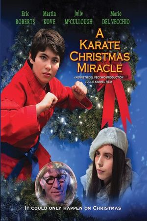 A Karate Christmas Miracle's poster