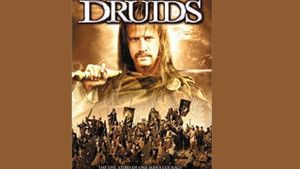Druids's poster