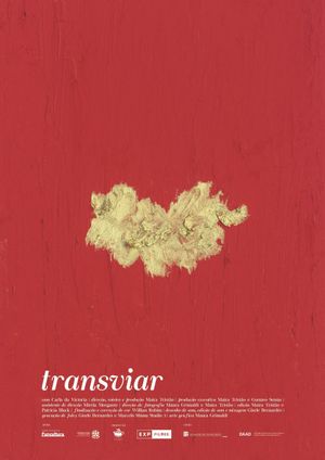 Transviar's poster