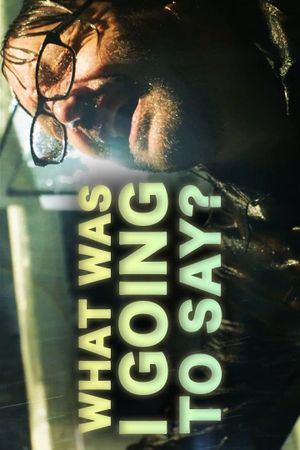 What Was I Going to Say?'s poster