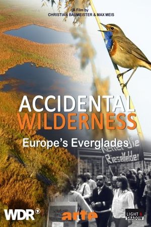 The Accidental Wilderness: Europe's Everglades's poster