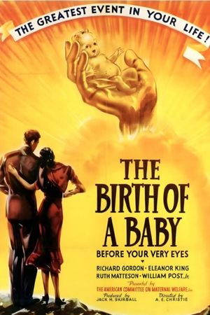 Birth of a Baby's poster
