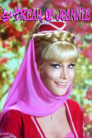 I Still Dream of Jeannie's poster