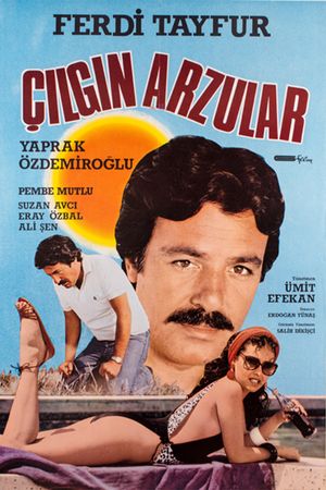Çilgin Arzular's poster