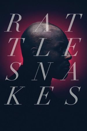 Rattlesnakes's poster