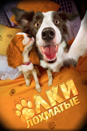 Paws, Bones & Rock'n'roll's poster