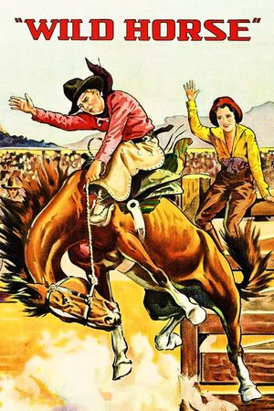 Wild Horse's poster