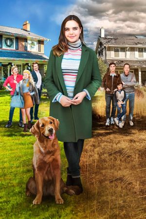 Holiday Joy's poster