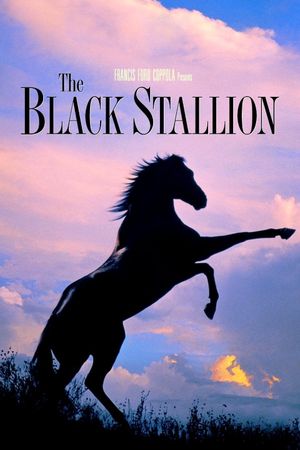 The Black Stallion's poster