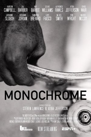 Monochrome's poster