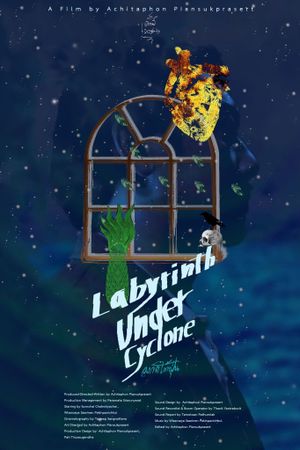 Labyrinth Under Cyclone's poster