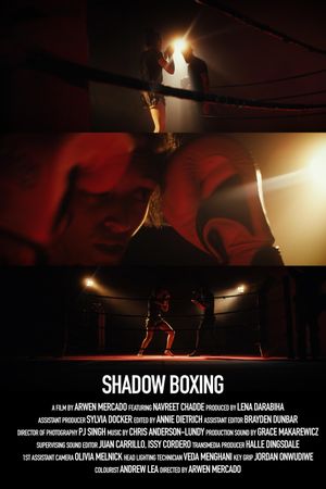 Shadow Boxing's poster