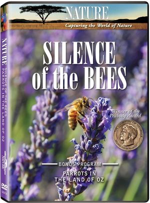 Silence of the Bees's poster