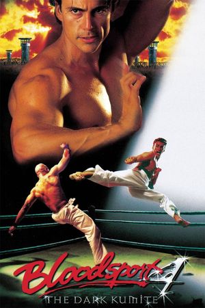 Bloodsport: The Dark Kumite's poster image