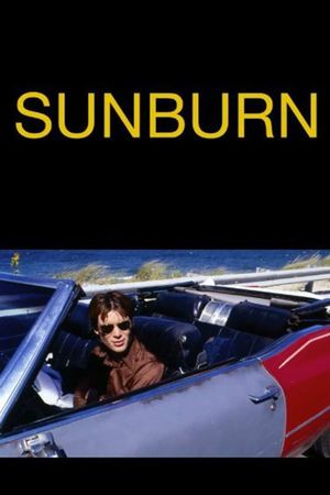 Sunburn's poster